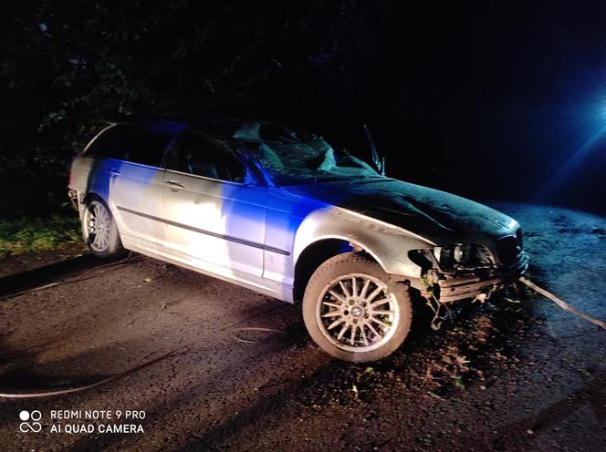 Podkarpackie. BMW wypadło z drogi [ZDJĘCIA]