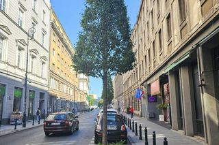 Mazowiecka po metamorfozie zachwyca warszawiaków. Prawie jak w Wersalu!