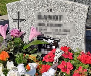 Zabili seniorkę dla 180 zł