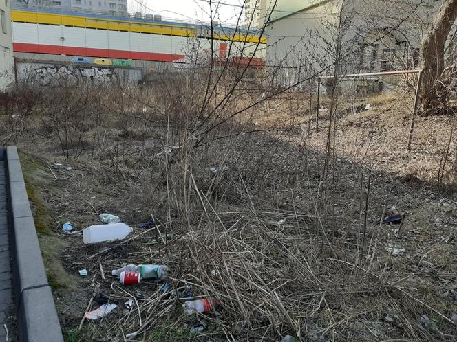 Śmieci w Łodzi walają się po skwerach i trawnikach. Mieszkańcy: "Tak brudno nigdy nie było!" 