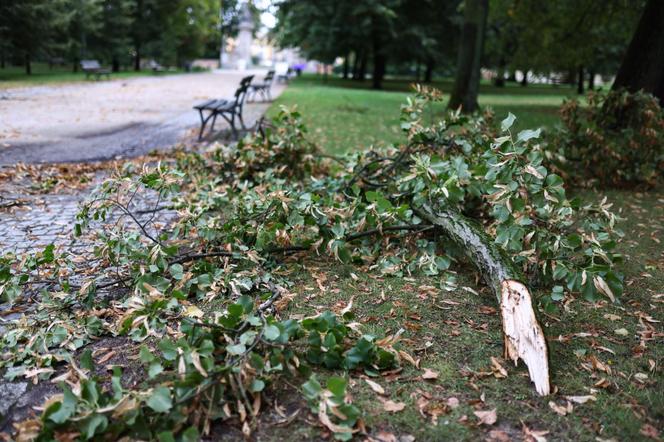 Park wilanowski zamknięty po burzy w Warszawie