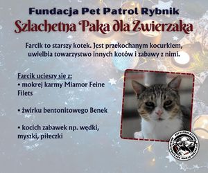 Pet Patrol Rybnik organizuje akcję Szlachetna Paka dla Zwierzaka 