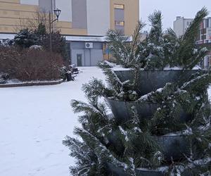 Zima w Świętokrzyskiem. Skarżysko-Kamienna w białym puchu. Zobacz zdjęcia