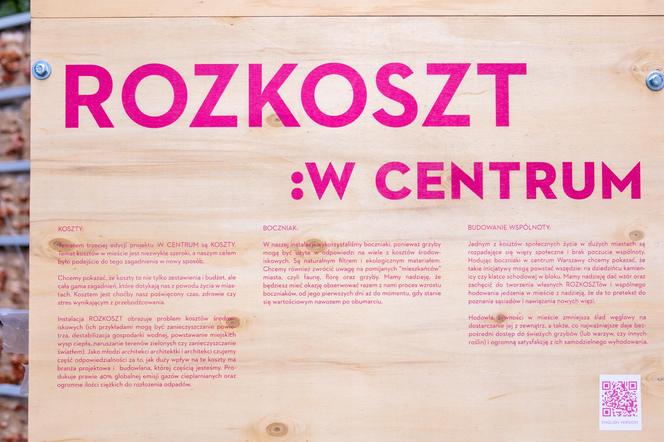 ROZKOSZT – oczyszczające powietrze boczniaki na placu Pięciu Rogów w Warszawie