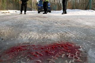 Strzelanina w Magdalence. Mija 20 lat od największej tragedii w polskiej policji