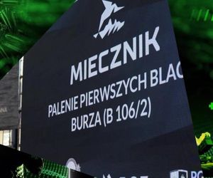 Miecznik