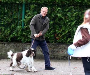 Donald Tusk na spacerze z Portosem