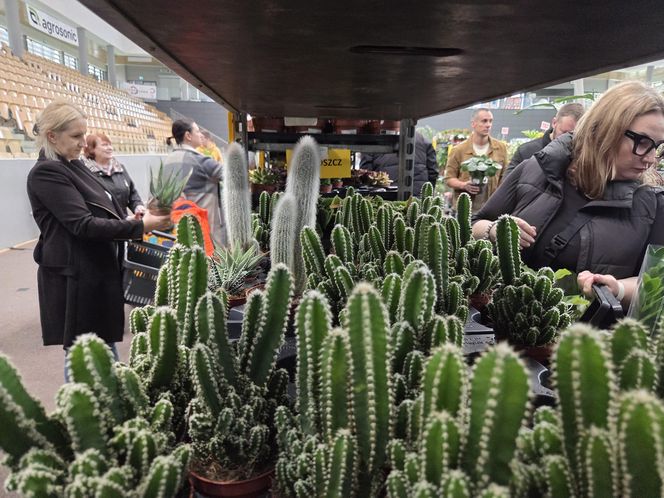 Festiwal Roślin znów zachwycił bydgoszczan! Setki gatunków i wyjątkowa atmosfera