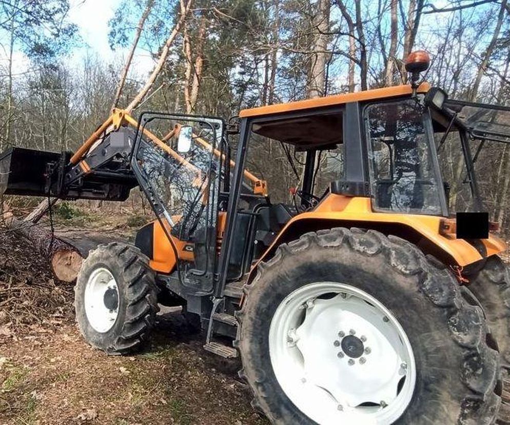 Lubelskie. Tragiczny wypadek podczas wycinki. Pień przygniótł 42-latka