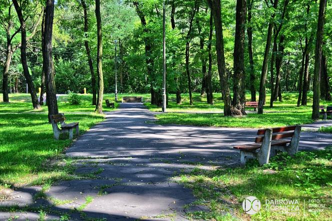 Park Podlesie w Dąbrowie Górniczej