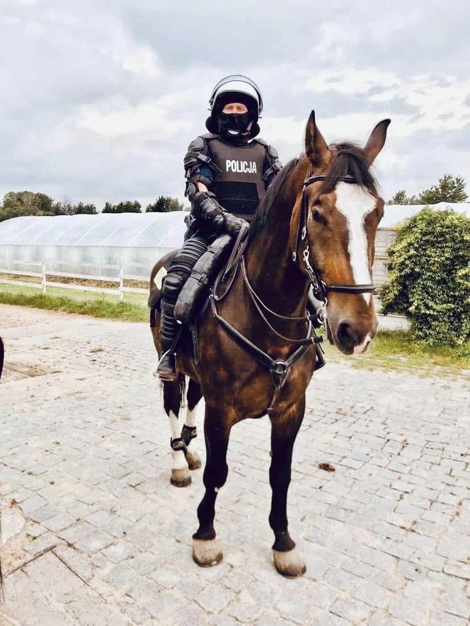 Koń Blue Baker odchodzi na emeryturę