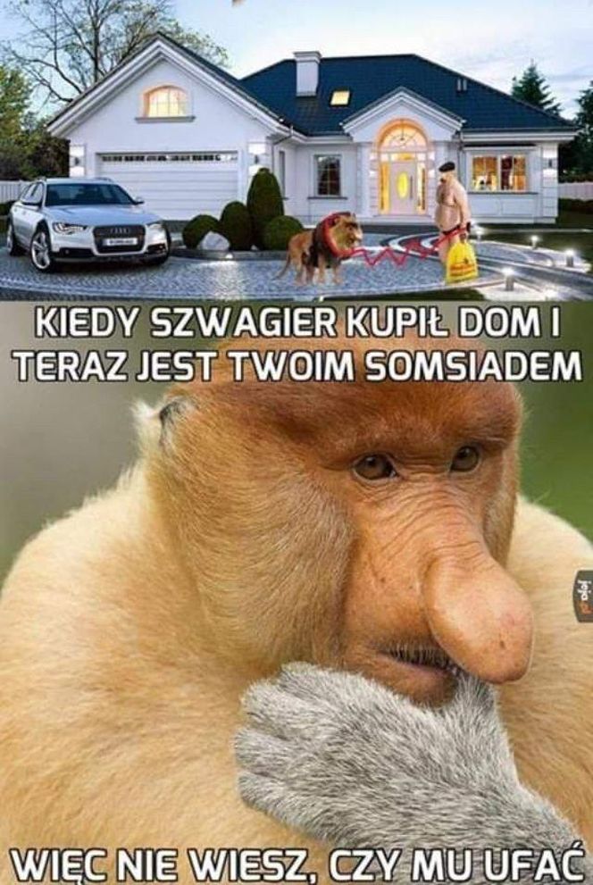 Memy na Dzień Szwagra 