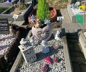 W całym woj. śląskim jest tylko jeden taki cmentarz. Miejsce, gdzie pamięć o pupilu nie umiera