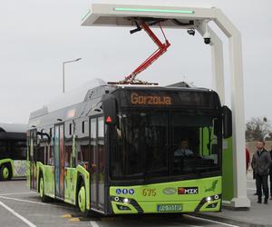 Przekazanie autobusów elektrycznych w Gorzowie
