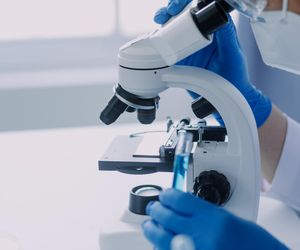 Niesamowite wyniki badań z Finlandii. Naturalna lignina zabija wirusy szybciej niż chemia