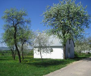 Klonów - urokliwa wieś w sercu Puszczy Świętokrzyskiej