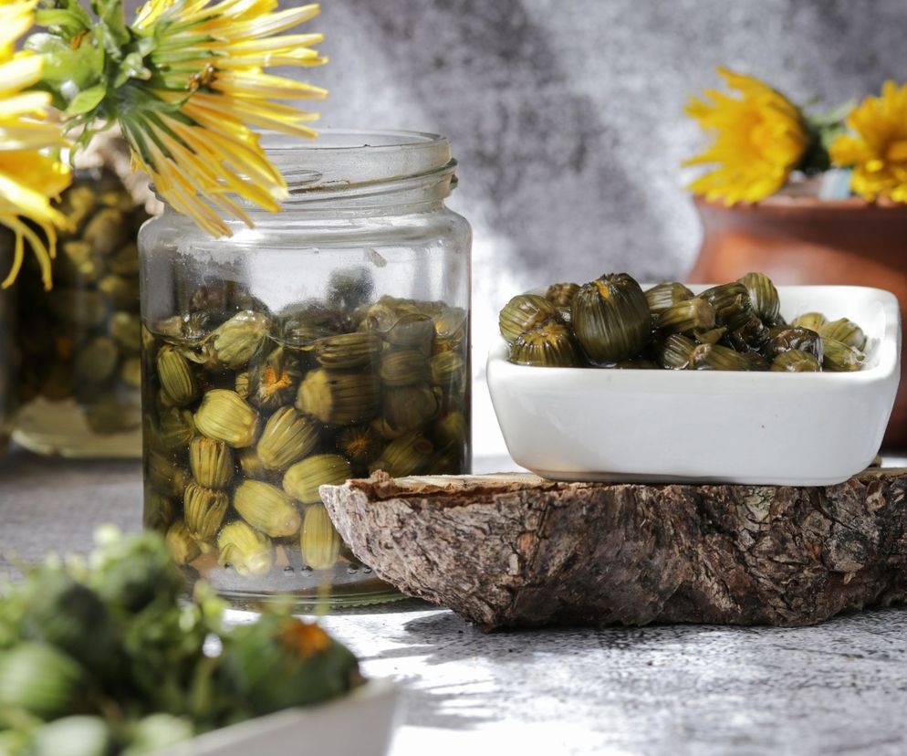 Co zrobić z mniszka lekarskiego