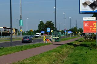 Bracia z Łęcznej sprzedają czereśnie