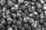 aronia