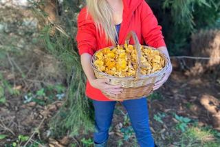 Elżbieta Zielińska na grzybach