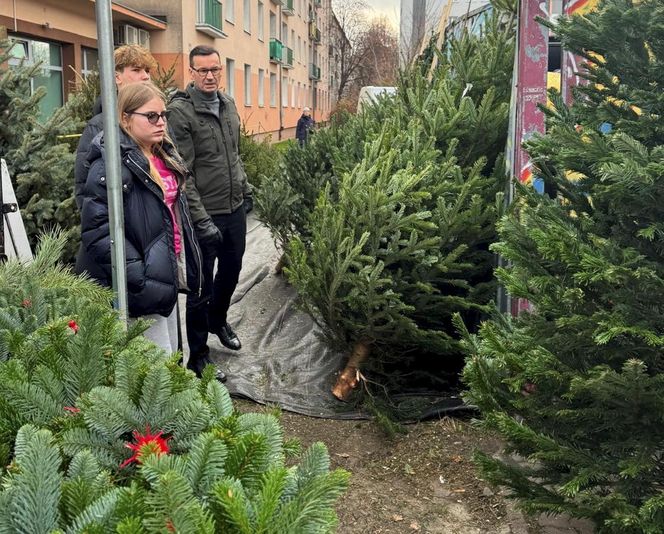 Mateusz Morawiecki wybiera choinkę na bazarze. Do świąt przygotowuje się z rodziną