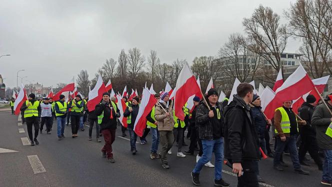 Protest rolników w woj. lubelskim. Rolnicy w Lublinie rozpoczęli przemarsz. Mamy zdjęcia!