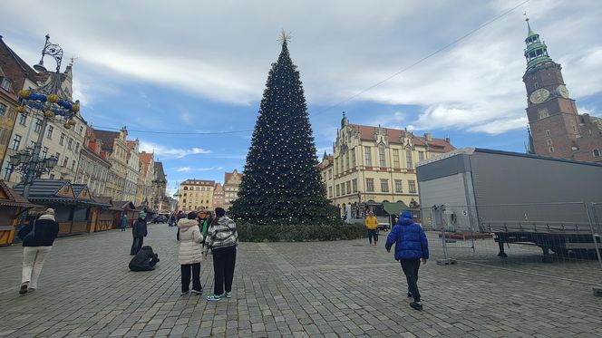 Choinka za milion złotych stanęła we Wrocławiu. Tak wygląda luksusowe drzewko 