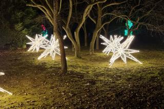 Ogród Botaniczny znowu zaświeci tysiącem światełek. Wraca Park Iluminacji  