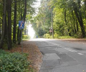 Nowe miejsce rekreacji dla olsztynian. Kierowcy mogli się zdziwić, wjeżdżając w tę popularną ulicę [ZDJĘCIA]