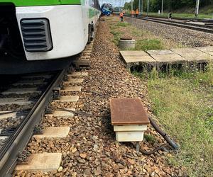 Pociągi zderzyły się pod Skierniewicami! Potężne utrudnienia na kolei