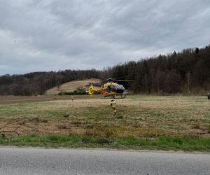Czermna. Dostawcze IVECO roztrzaskało się na drzewie. Nie żyje kierowca