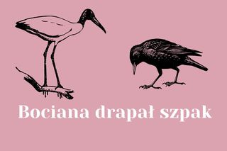 Ta zagadka logiczna jest jak test na inteligencję. Większość nie odpowie poprawnie