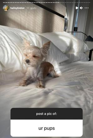 Hailey Bieber na Instagramie