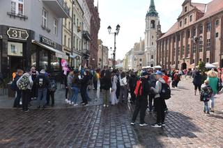 Tłumy na toruńskiej starówce! Czegoś takiego dawno nie widziałem