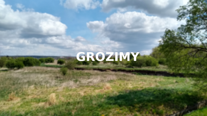 Grozimy