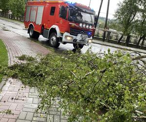Burza na Śląsku spowodowała ogromne straty