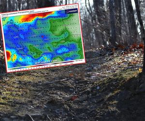 Duży przymrozek nadchodzi do Polski. Napływ arktycznego powietrza sprawi, że odkręcimy kaloryfery