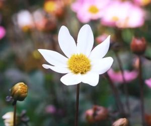 Marta i Karol Nawroccy zapraszają na Narodowe Czytanie