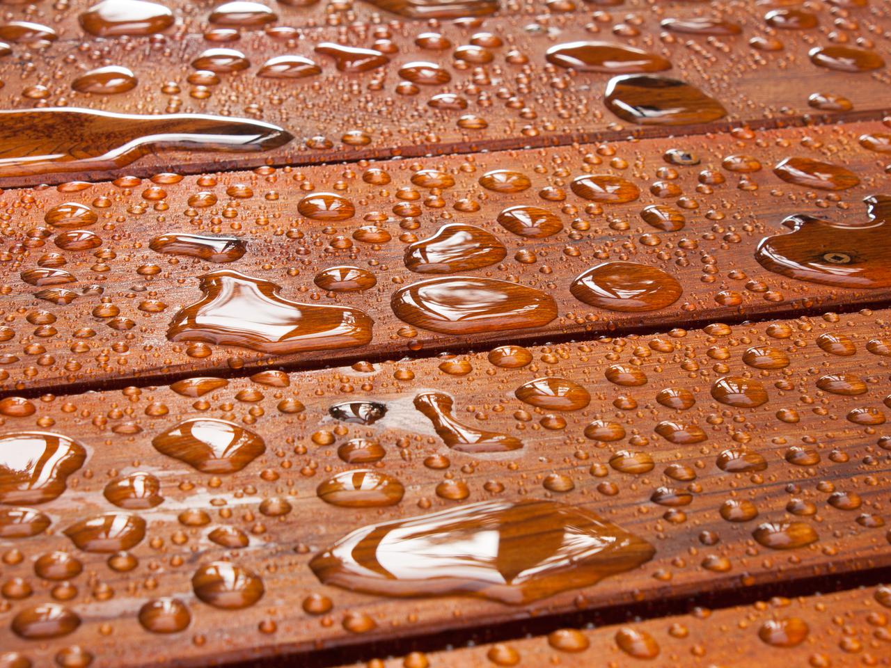 Drewno wokół nas i jego perspektywy w XXI wieku