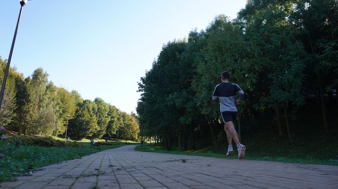 Filary porośnięte bluszczem w Lublinie! Tak się prezentują w jesiennej odsłonie