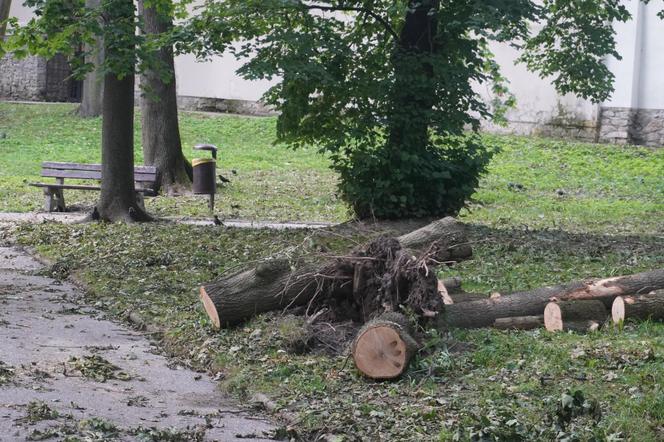 Połamane drzewa w Parku Miejskim w Kielcach po nawałnicy