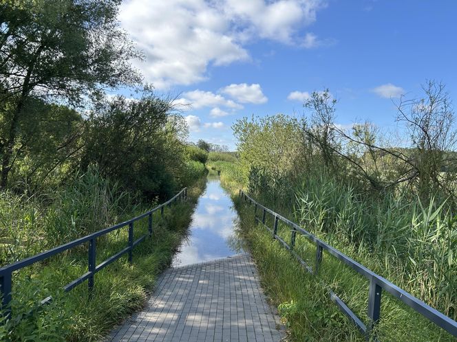 Łynostrada w Olsztynie zalana. Będą naprawy, a może i kładka!