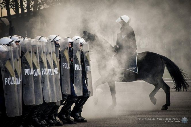 Policyjne konie zdały egzamin!