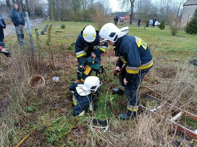 Pies wpadł do szamba. Strażacy z Wolina uratowali mu życie