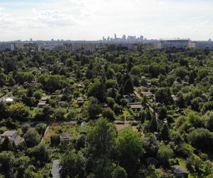 W tych mazowieckich powiatach zarabia się najlepiej. Większość łączy jeden czynnik