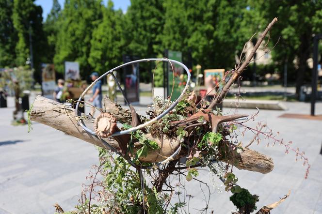 Weekend z florystyką w Lublinie. Zobacz imponujące roślinne instalacje w centrum miasta!