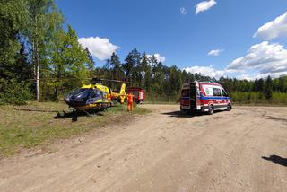 Tragiczny wypadek podczas prac leśnych w gminie Orzysz