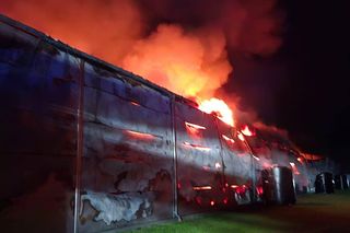 Ogromny pożar fermy drobiu w Fałkowicach. W ogniu mogło zginąć nawet 130 tysięcy kur