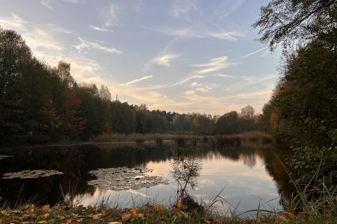 Idealne miejsce na jesienny spacer w Śląskiem - Kamień 