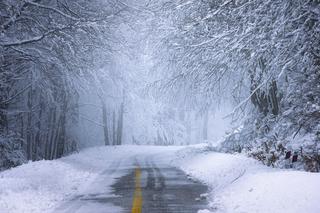 Obfite opady śniegu na Lubelszczyźnie. Czy drogi w regionie są przejezdne?
